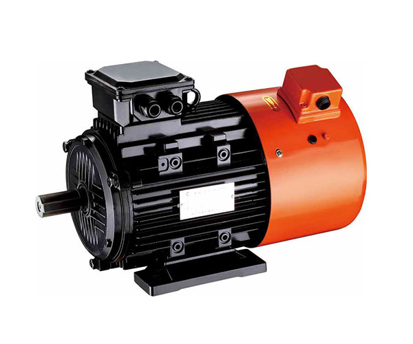 YT100-15-5000變頻驅(qū)動永磁無刷電動機