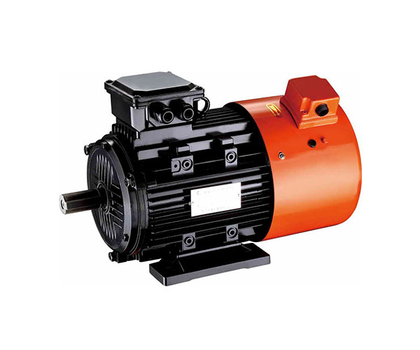 YT100-5.5-3000變頻驅(qū)動永磁無刷電動機